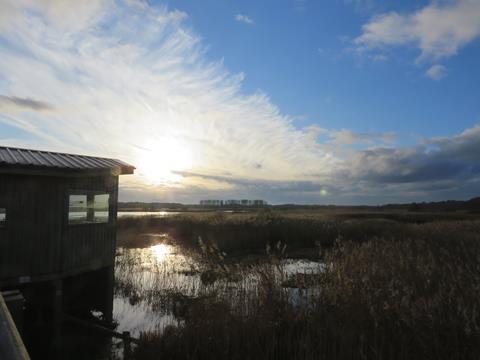 Island Mere Hide, RSPB Minsmere