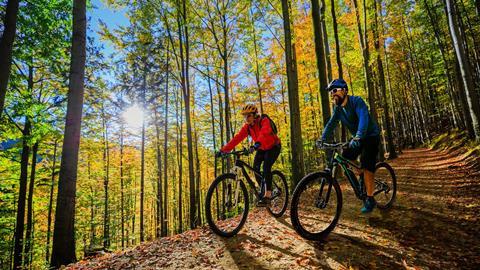 Cycling in the Forest of Dean