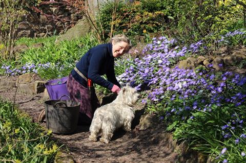 National Garden Scheme