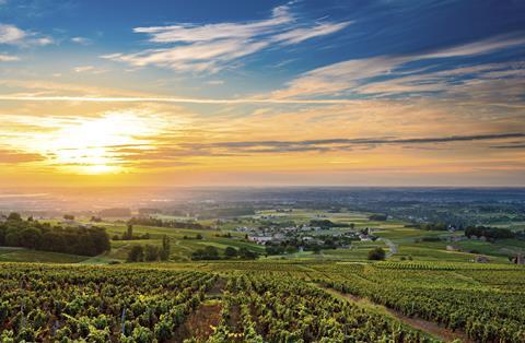 Scenic wine themed cruises