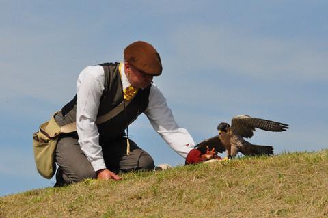 Raphael Historic Falconry display at Newhaven Fort