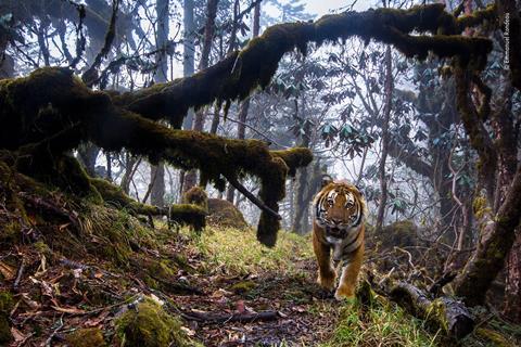 Wildlife Photographer of the Year exhibition