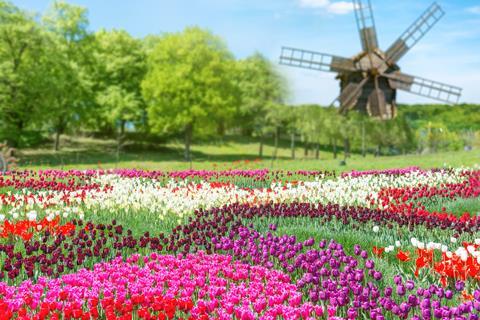 Keukenhof Gardens