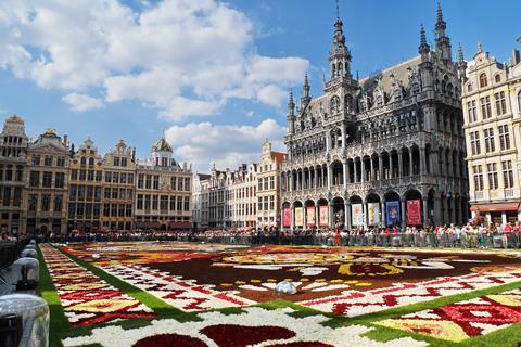 The Flower Carpet in Grand Place Brussels