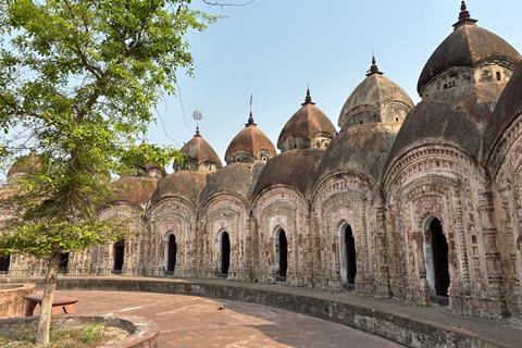 108 Shiv Mandir temples facing a tree
