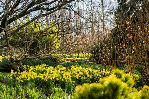 RHS Garden Hyde Hall 