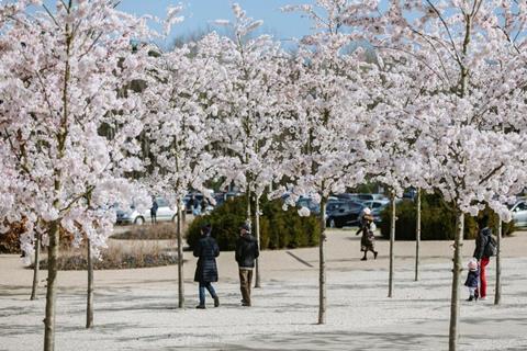 RHS Garden Wisley