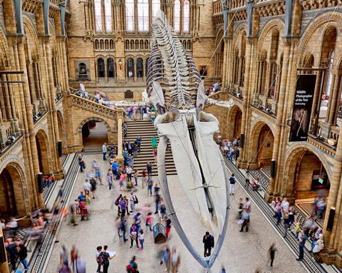 Natural History Museum