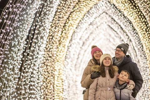 Christmas Cathedral at Bedgebury Forest