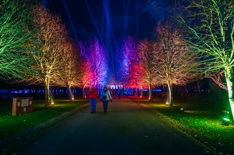 National Memorial Arboretum trees lit up for Christmas