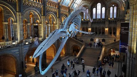 Natural History Museum, London