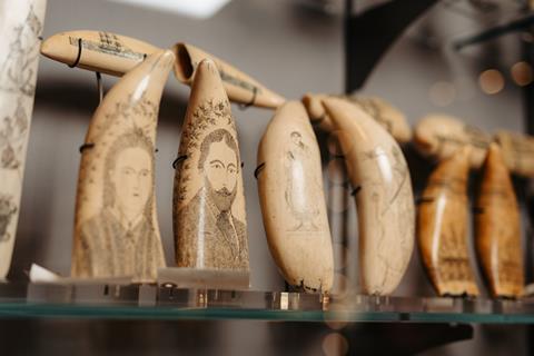 Scrimshaw collection