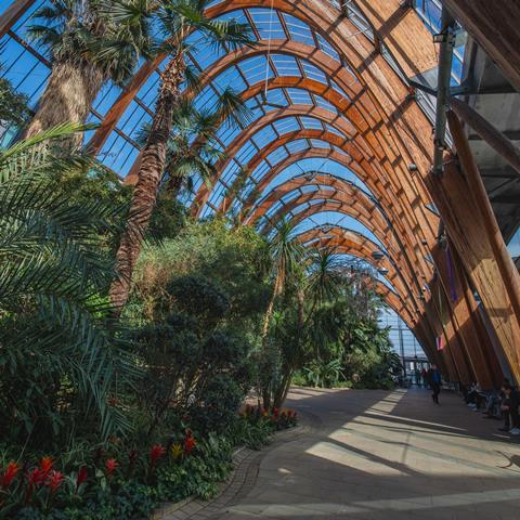 Sheffield Winter Gardens