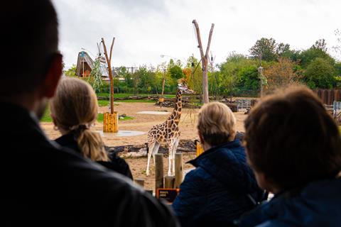 Group tour looking at a giraffe