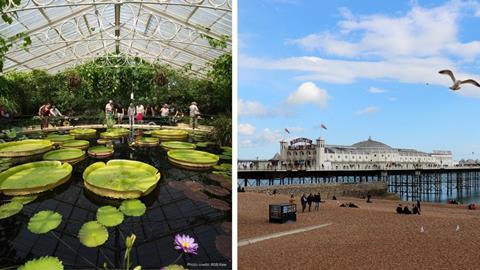 Kew Gardens & Brighton Pier