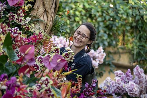 Orchids at Kew Gardens