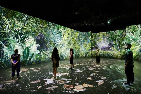 Our Story with David Attenborough 3 - (c) Trustees of the Natural History Museum
