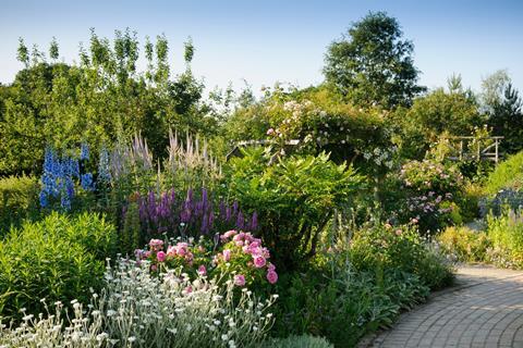 RHS Garden Rosemoor Cottage Garden in Summer