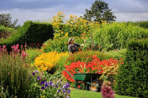 Press-Flower Show preparations at RHS Garden Hyde Hall, Essex - 30th July 2019