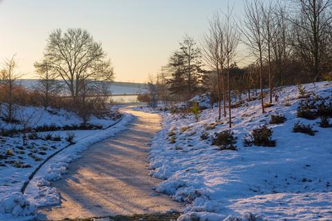 Early morning winter garden