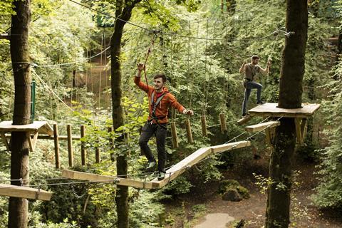 Treetop Trek