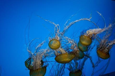 The National Aquarium, Baltimore