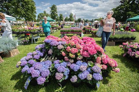 Blenheim Flower Show