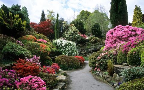 Leonardslee Gardens pathway
