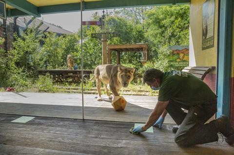 ZSL London Zoo prepares to reopen