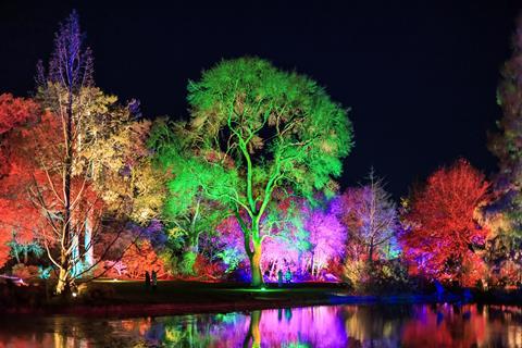 Glow at RHS Wisley