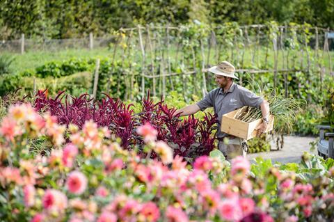 Afternoon tea and picnic packages for groups visiting RHS Garden