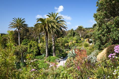 Tresco's Abbey Gardens