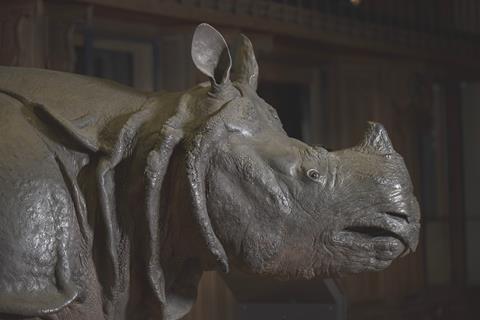 Louis XV’s rhinoceros, Science Museum