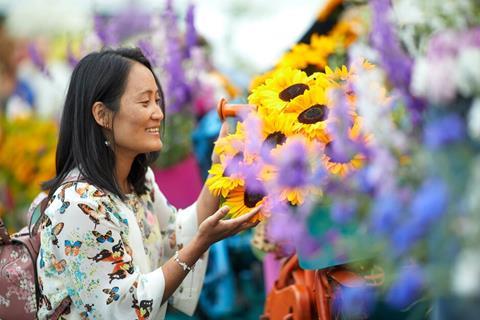 RHS Flower Show Tatton Park 