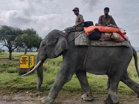 Kaziranga