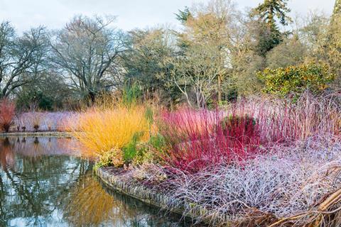 RHS Garden Wisley