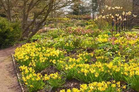 Floral Fantasia at RHS Garden Hyde Hall update - Hort News