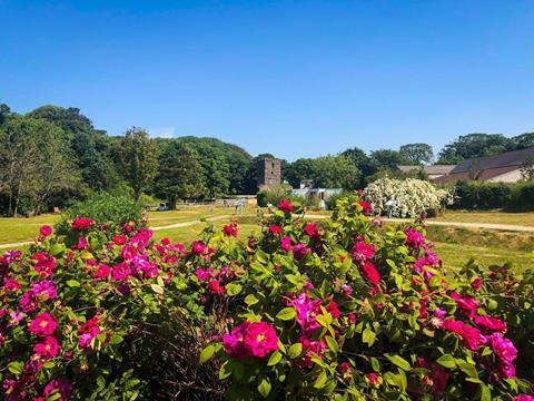 Vibrant flowers frame a view of Rushen Abbey on the Isle of Man