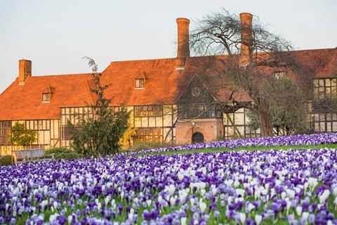 View Across Conifer Lawn with Crocus at RHS Garden Wisley credit RHS Joanna Kossak