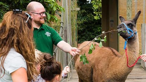 Animal Adventure ZSL London Zoo