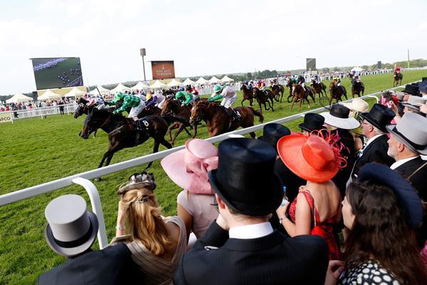Discounted group deals on Royal Ascot 2021 tickets | News | Group